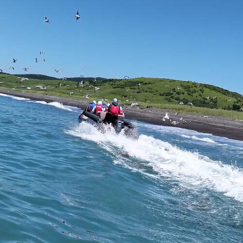 Photo #13177283