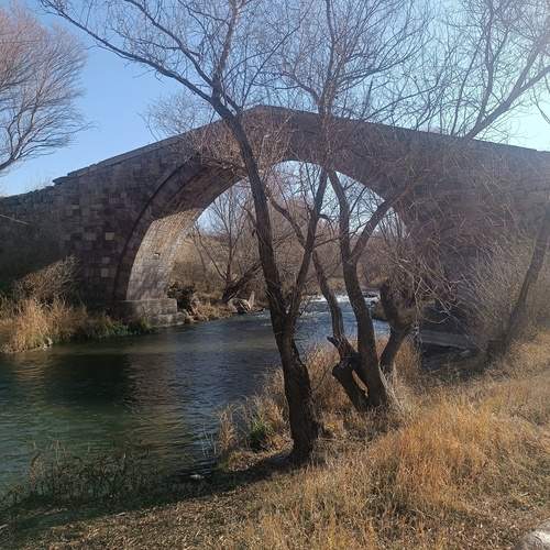Photo #13177289