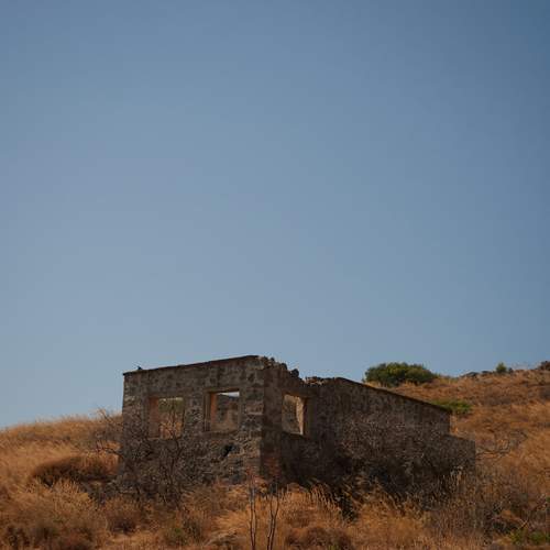 Photo #13177291