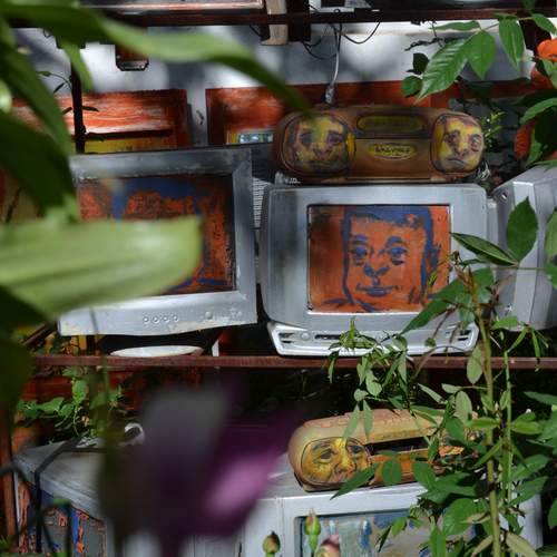 Photo #13177491