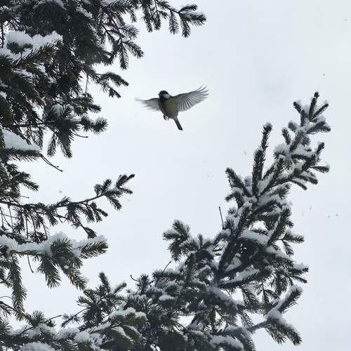 Photo #13177554