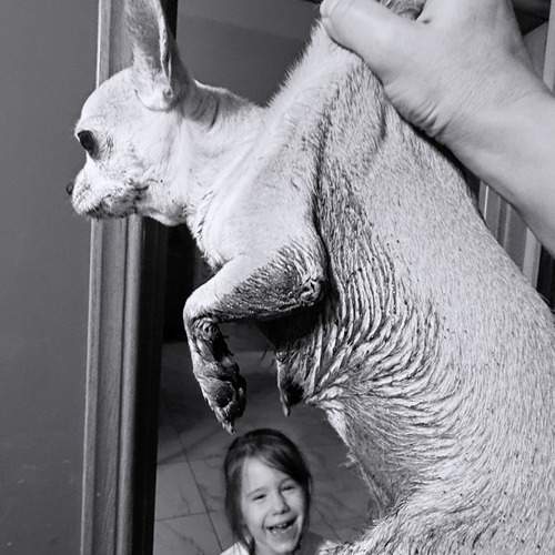 Photo #13177570