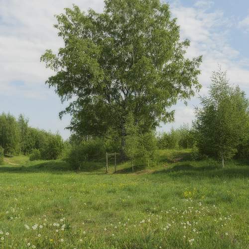 Photo #13177700
