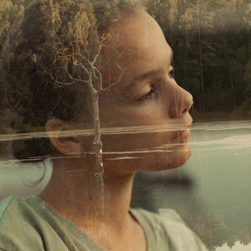 Photo #13177708