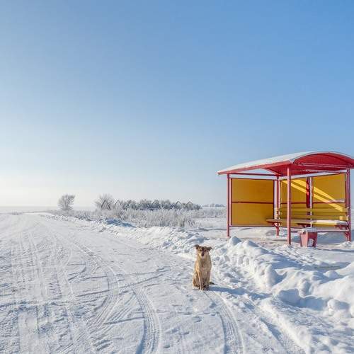 Photo #13177769