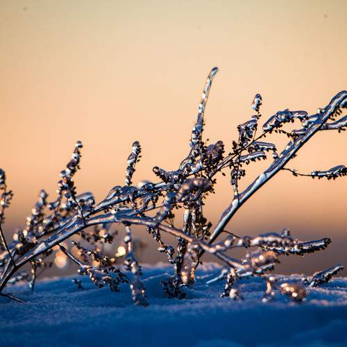 Photo #13177771