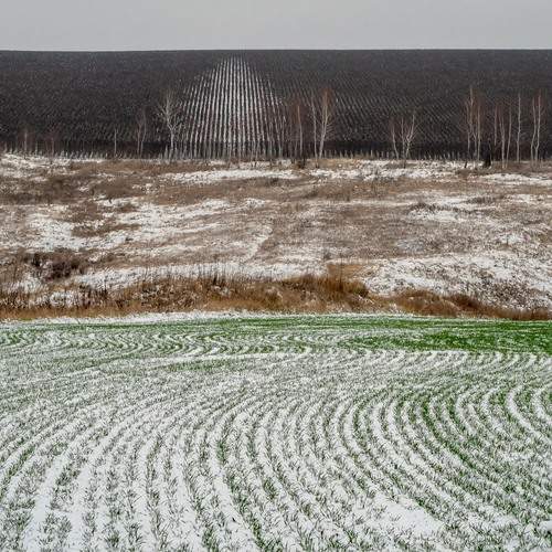 Photo #13177791