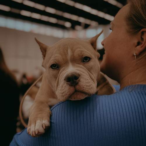 Photo #13177884
