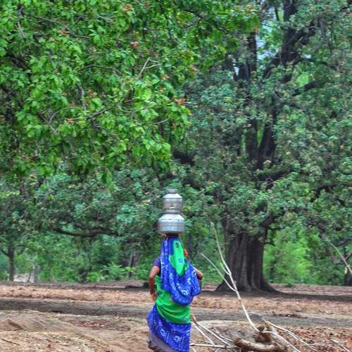 Photo #13177920