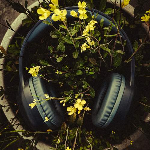 Photo #13177978