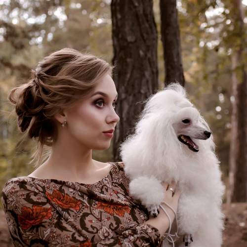 Photo #13178159