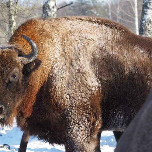 Photo #13178227