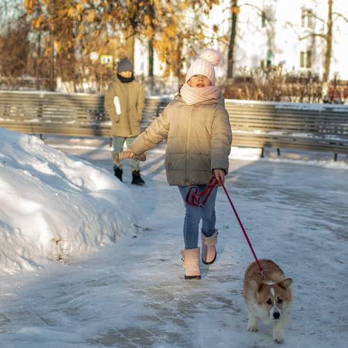 Photo #13178247