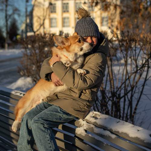 Photo #13178248