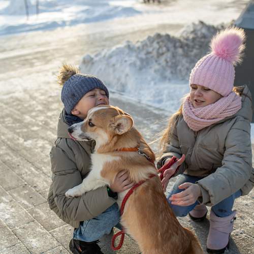 Photo #13178249