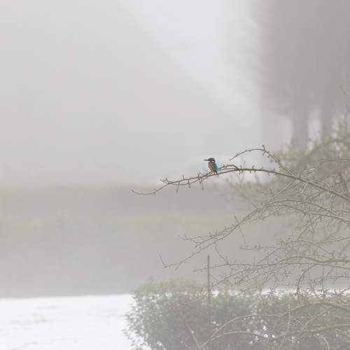 Фотография #13178284