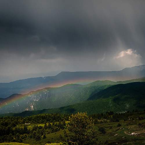 Photo #13178294