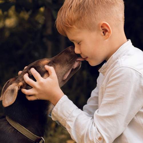 Photo #13178326