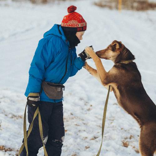 Photo #13178327