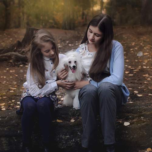 Photo #13178341