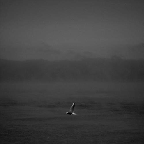 Photo #13178431
