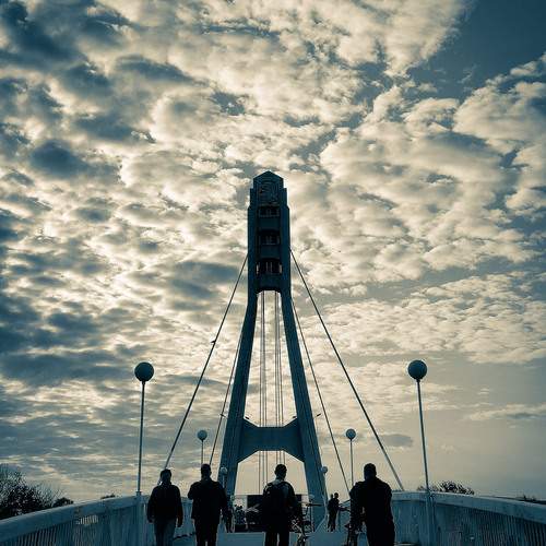 Вечерние силуэты