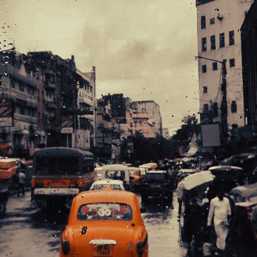 Wrapped in Rain