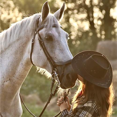 Photo #13178603