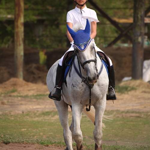 Photo #13178611
