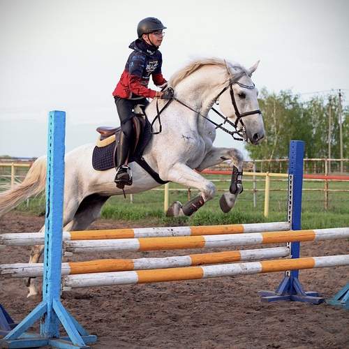 Photo #13178613