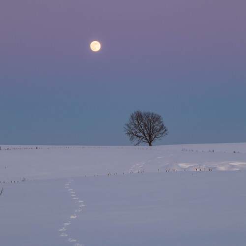 Photo #13178645