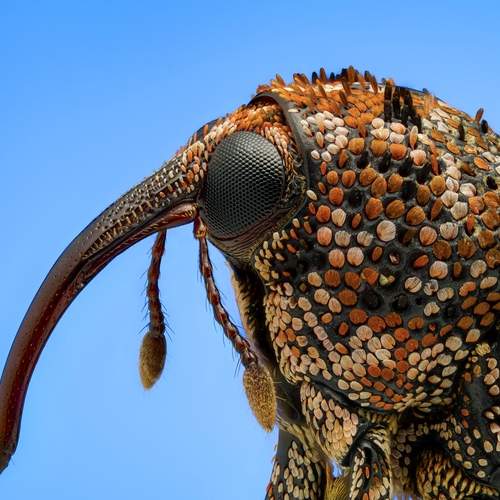 Фотография #13178684