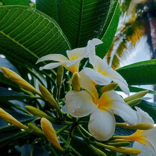 Photo #13178704