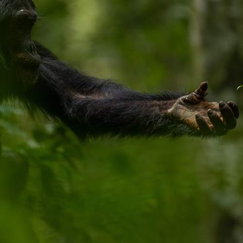 Фотография #13178728