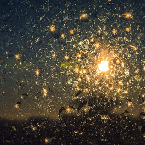 Photo #13178804