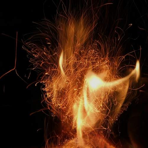 Photo #13178852