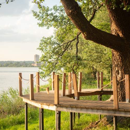 Photo #13178904