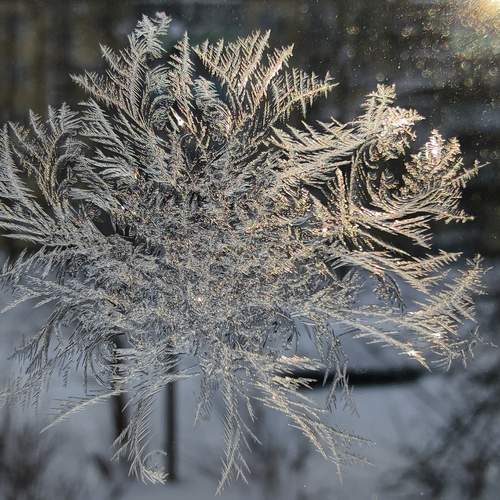 Photo #13178976