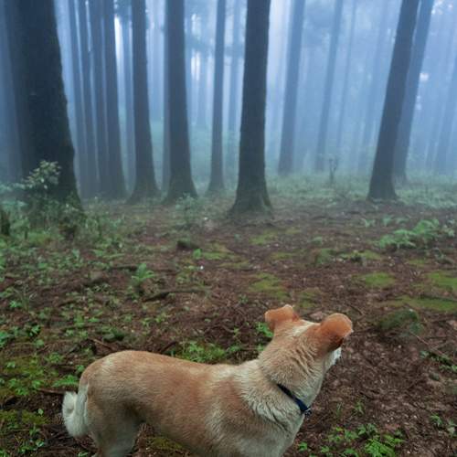Photo #13179071