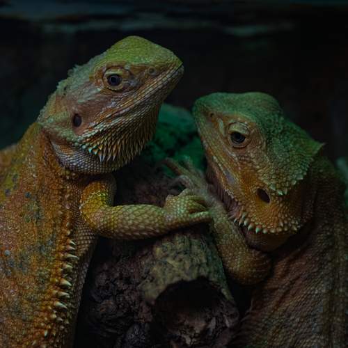 Photo #13179187