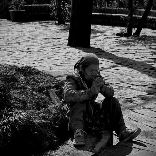 Photo #13179305