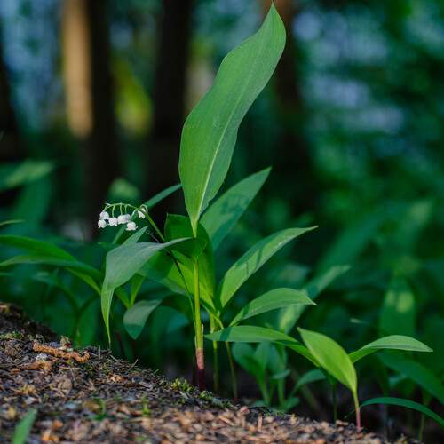 Photo #13179356