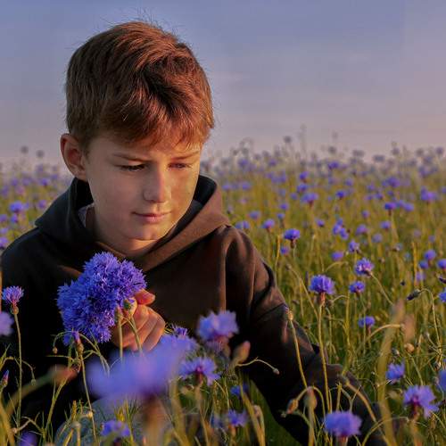 Photo #13179582