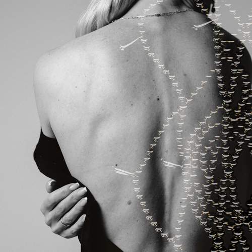 Photo #13179647