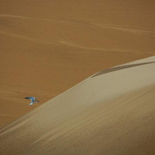 Photo #13179665