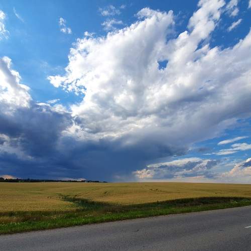 Photo #13179675
