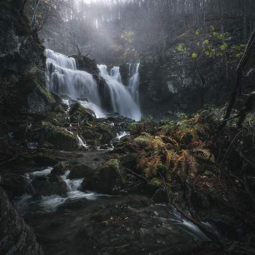 Where Time Softens Stone