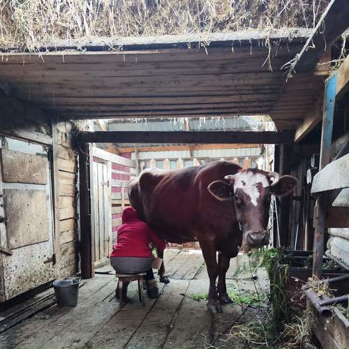 Photo #13179703