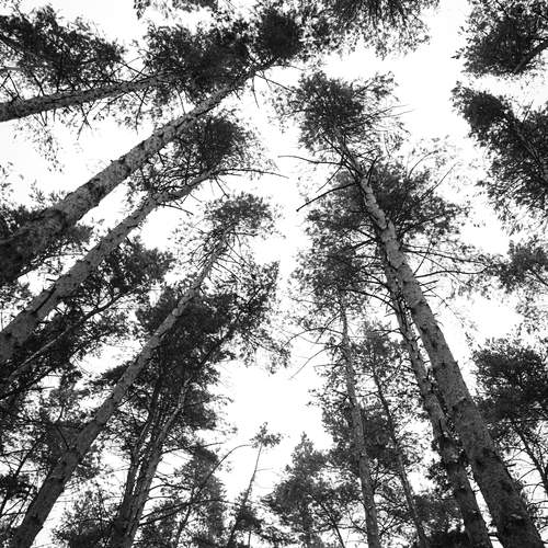 Photo #13179754