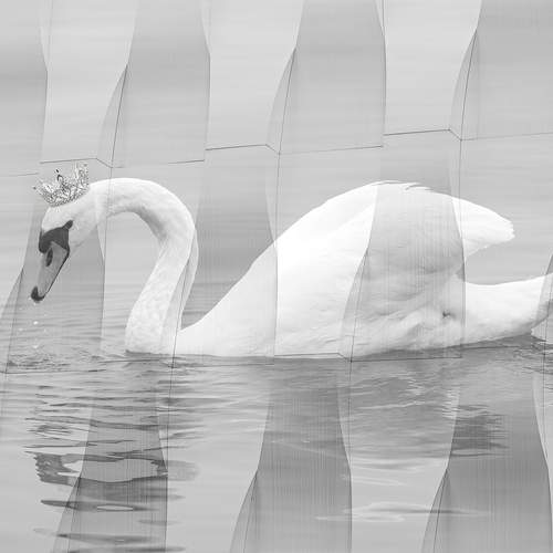 Фотография #13179795